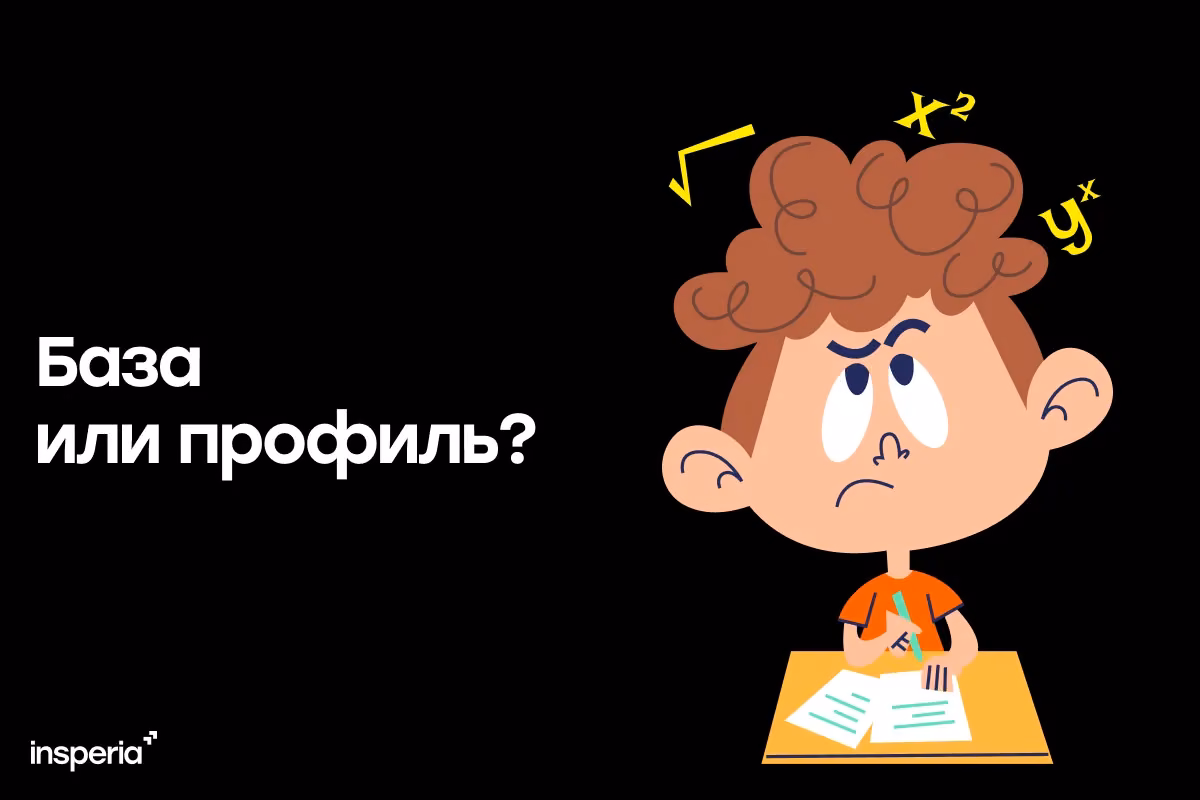 База или профиль — что выбрать?