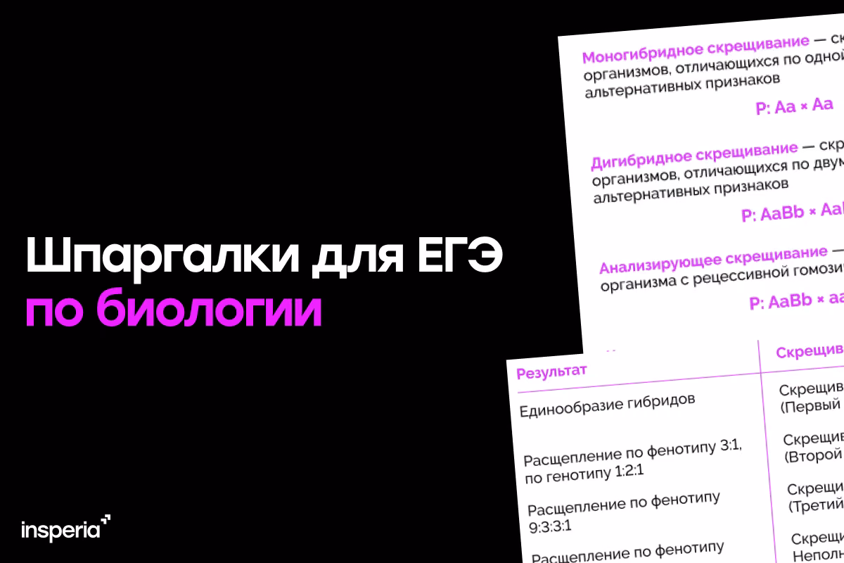 Шпаргалка для ЕГЭ по биологии-2026