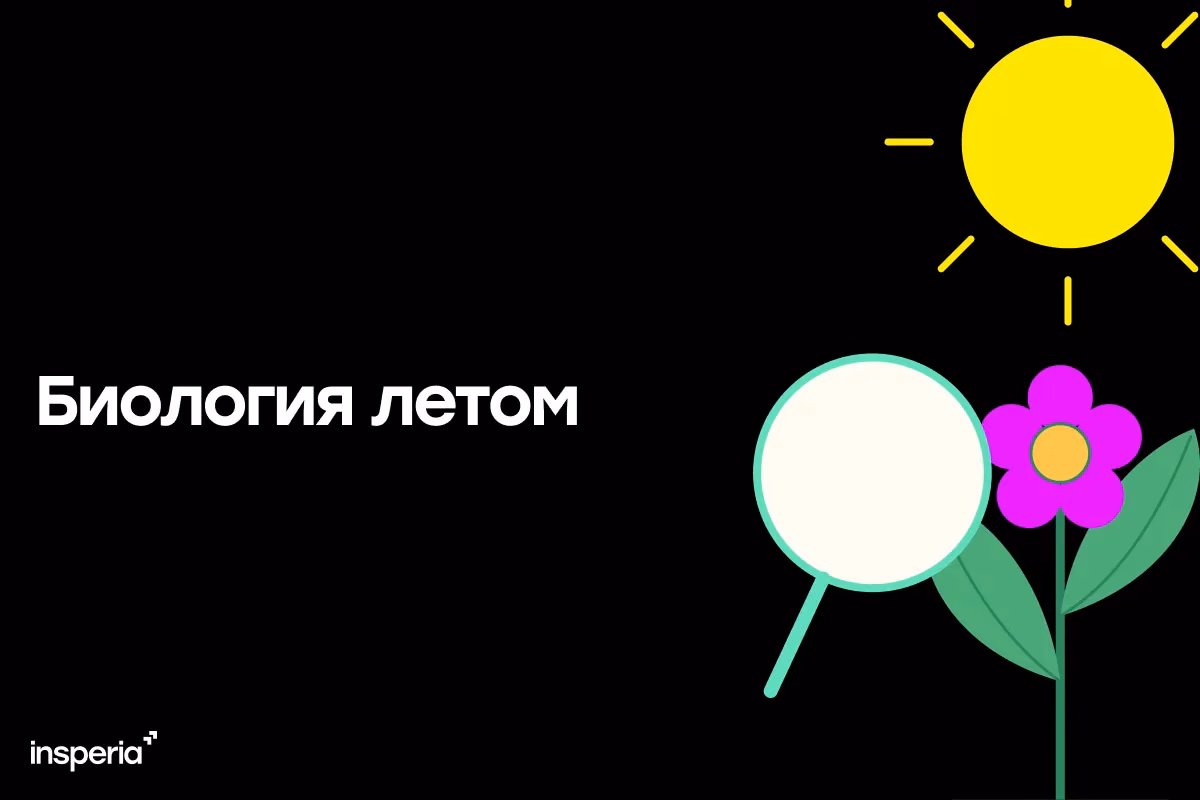 Что повторить летом перед ЕГЭ по биологии: пошаговый план и ключевые темы